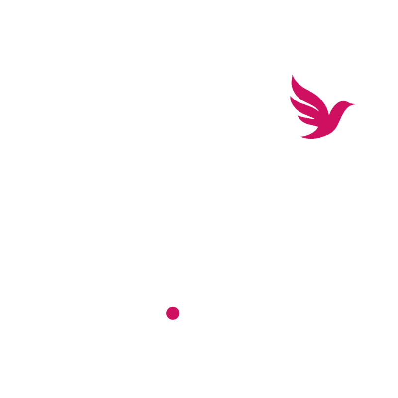 SACC-Udaan-Program-Logo